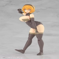 「フレームアームズ･ガール 輝鎚・甲」勢いで注文することに決めた俺は正しいのイメージ